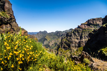 Trekking on the levada trail going across the beautiful meadows and peaks of the highest Madeira mountains, Pico Ruivo i Pico de Arieiro lost in clouds