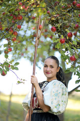 une belle femme récolte de pommes