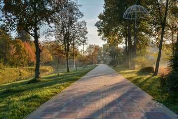 Sunny alley in the autumn morning park