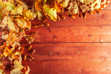Naklejka na ściany i meble Autumn leaves and acorns on rustic wooden background. Fall background with copy space.