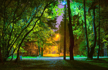 Electric lighting in the park at night with lamps with different color temperatures