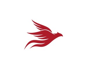 Eagle Bird Logo Template