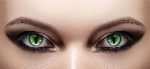 Close-up of Woman Eyes. Halloween Makeup. Cat Eye Lens. Fashion Catwalk Black Make-Up. Luminous...
