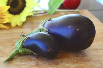 Fresh, adorable dark purple Eggplants harvested on an Organic Farm in Adjuntas Puerto, Rico. Farm fresh eggplant on the cutting board.