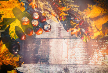 Autumn background with chestnuts, colored leaves and berries on a wooden floor.