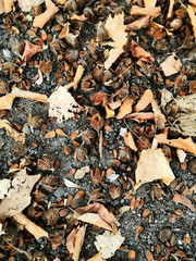 Herbst Beginn