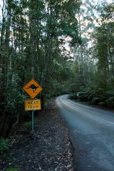 Beware of the kangaroo 