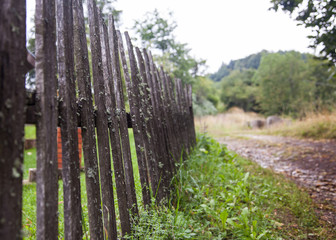 Peaceful rural scene of a wooden track in a natural area