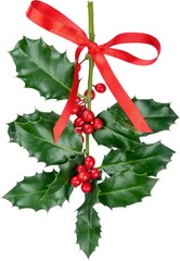 Cute holly leaves and berries, christmas decoration isolated on