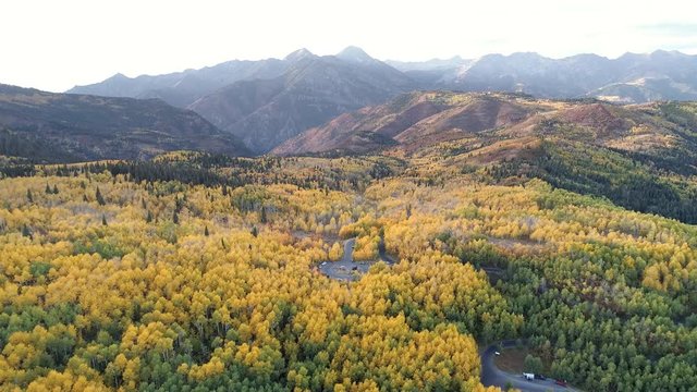 Aerial view flying over mountains in Fall color viewing yellow aspen trees.