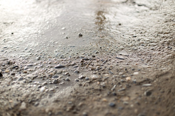 Fototapeta na wymiar Small stones on the ground wet after rain