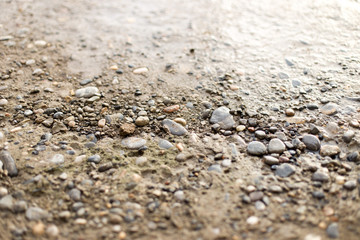 Small stones on the ground wet after rain