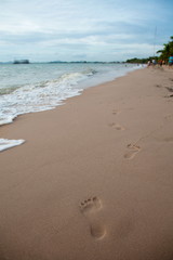 Sand beach in the sunset.