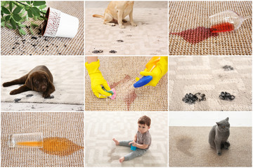 Set with different types of dirt on carpets. Cleaning concept