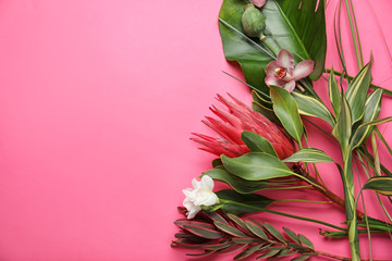 Beautiful tropical flowers with leaves on color background