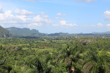 Obraz premium The Vinales Valley Pinar del Rio
