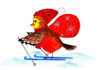 Bullfinch. Cute winter bird with a bag of gifts. Watercolor illustration.
Bullfinch skiing. Christmas card. Christmas illustration painted with watercolors. Handwork.