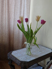 bouquet of tulips in a vase on wooden table