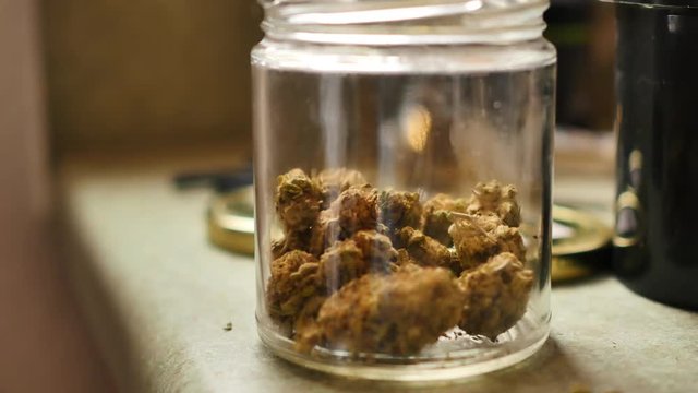 Jar of cannabis buds is set on counter top