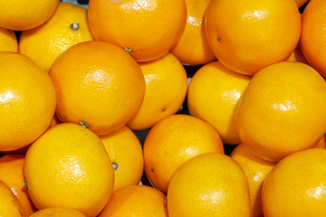 Fresh Mandarins spread out evenly in the shop window.