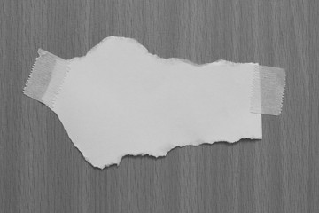 pieces of torn paper texture background, copy space.