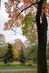 autumn park