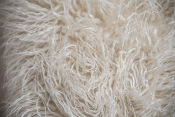 alnuada peluda blanca