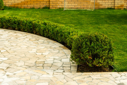 mowed lawns with shrubs near the stone walkway in landscape design