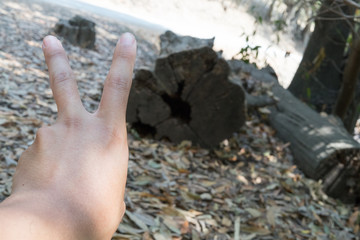 V sign hand and wood