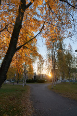 Fototapeta na wymiar Morning at Franzen park in Oulu Finland