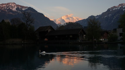 Fototapeta premium 23042017 Sonnenuntergang Aare, Altstadt Unterseen