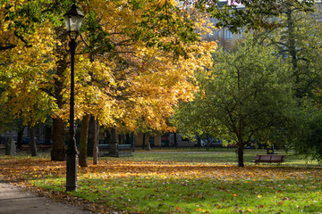 Lamppost in the autumn park