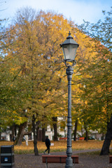 Lamppost in the autumn park