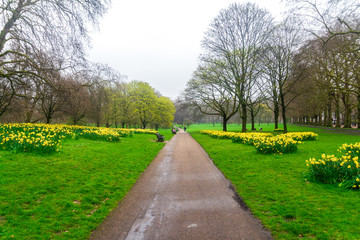 Parque em londres