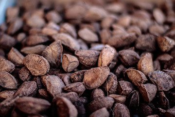 Brazil nuts