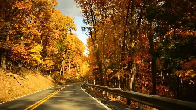 Time lapse of a drive through a hilly twisty road during glorious fall in rural Pennsylvania.