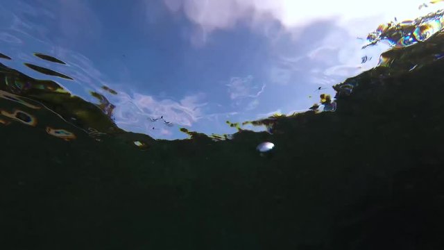 Underwater sky view in San Marcos River