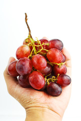 bunch of grapes in hand isolated on white background