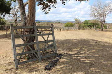 Fototapeta na wymiar rancho 