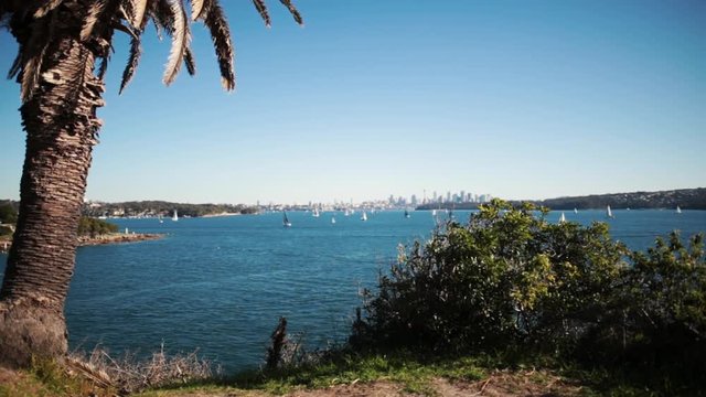 Sydney skyline Watsons bay daytime