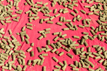 Granules from grass
