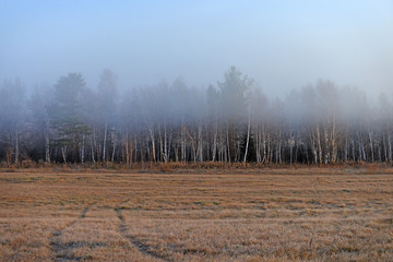 Beautiful landscape with fog at sunrise. Forest with fog. Autumn morning