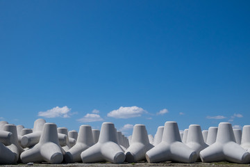 テトラポッド　tetrapod