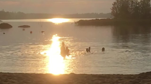 silouettes of a family swimming at the beach, male father throwing kids around in the water