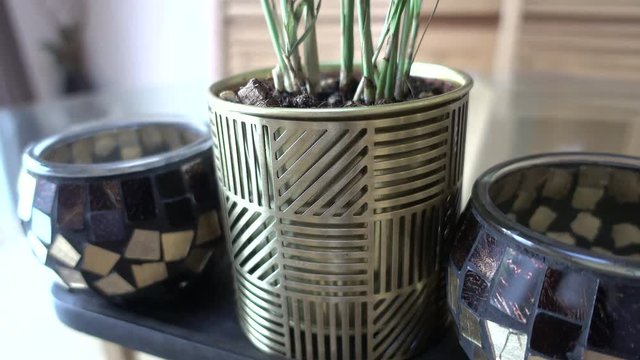 Table d&radic;&copy;cor plant and 2 pots