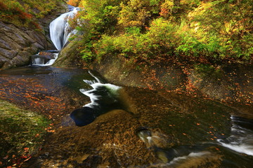 紅葉の桃洞渓谷