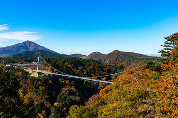 秋の九重夢大吊橋