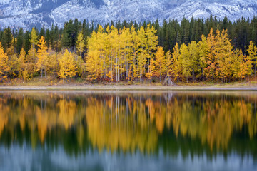 Fall reflection over the ponds