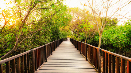 Obraz premium Nature1