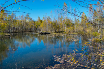 the mountain autumn landscape with colorful forest